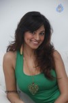 Shilpi Sharma Hot Gallery - 52 of 178
