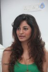 Shilpi Sharma Hot Gallery - 145 of 178