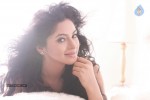 Shilpi Sharma New Portfolio - 45 of 45
