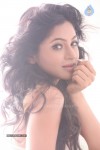 Shilpi Sharma New Portfolio - 47 of 45