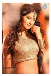 Shilpi Sharma Wallpapers - 25 of 25