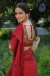 Shraddha Arya Stills - Kothimooka - 5 of 13