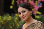 Shraddha Arya Stills - Kothimooka - 7 of 13