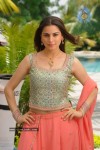 Shraddha Arya Stills - Kothimooka - 10 of 13