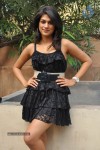 Shraddha Das Stills Gallery - 13 of 46