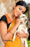 Shreya Gallery - 6 of 45