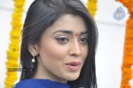 Shriya at SSC Production No. 3 Movie Launch - 18 of 45