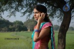 Shriya Dhanvanthri Gallery - 20 of 50