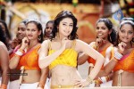 Shriya Gallery - 12 of 18