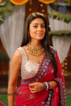 Shriya Hot Gallery - 3 of 75