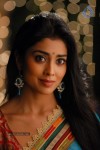 Shriya Hot Gallery - 40 of 75