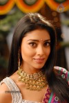 Shriya Hot Gallery - 14 of 75