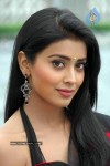 Shriya Latest Photos - 5 of 22