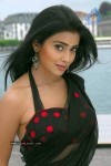 Shriya Latest Photos - 12 of 22