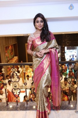 Shriya Latest Pix - 18 of 28