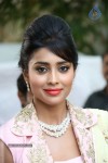 Shriya Latest Stills - 3 of 58