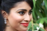 Shriya Latest Stills - 56 of 58