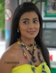 Shriya New Photo Gallery - 7 of 36