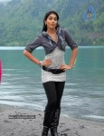 Shriya New Photo Gallery - 8 of 36