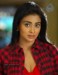 Shriya New Photo Gallery - 9 of 36