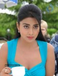 Shriya New Photo Gallery - 11 of 36