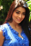 Shriya New Stills - 11 of 61