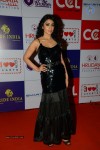 Shriya Photos - 65 of 66
