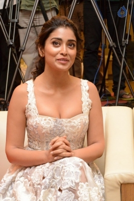 Shriya Saran Gallery - 3 of 17