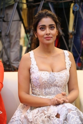 Shriya Saran Gallery - 11 of 17