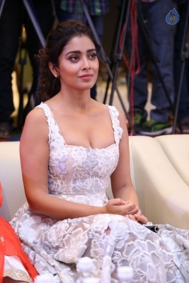 Shriya Saran Gallery - 12 of 17