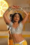 Shriya Saran Hot Pics - 1 of 17