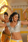 Shriya Saran Hot Pics - 12 of 17