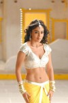 Shriya Saran Hot Pics - 14 of 17