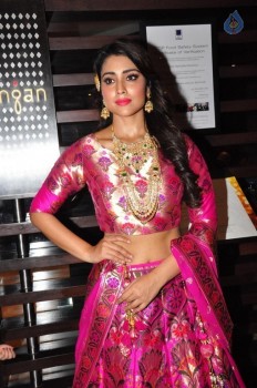 Shriya Saran New Pics - 4 of 42