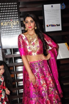 Shriya Saran New Pics - 7 of 42