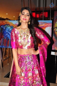 Shriya Saran New Pics - 20 of 42