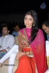 Shriya Saran New Stills - 18 of 42