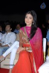 Shriya Saran New Stills - 20 of 42