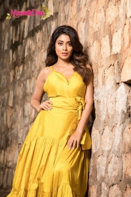 Shriya Saran Photos - 4 of 11