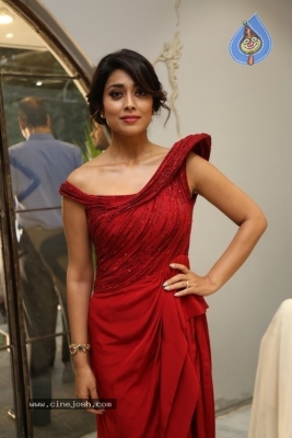 Shriya Saran Photos - 18 of 19