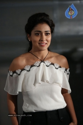 Shriya Saran Pictures - 3 of 15