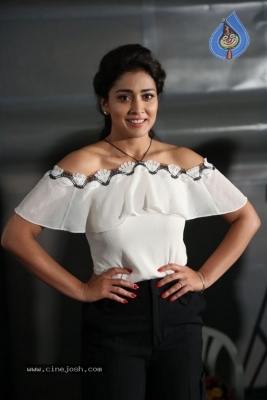 Shriya Saran Pictures - 11 of 15