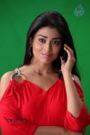 Shriya Latest Stills - 7 of 46