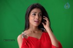 Shriya Latest Stills - 17 of 46