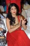 Shruti Haasan at Pooja Audio Launch - 80 of 152