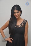 Shruti Hassan Photos - 14 of 52