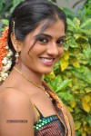 Shruti Stills - 43 of 46