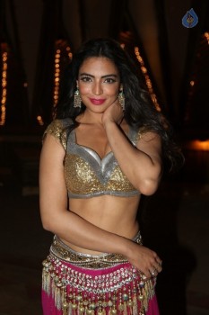 Shweta Bhardwaj Photos - 36 of 54