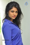 Shweta Pandit New Photos - 28 of 32