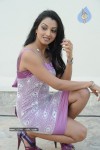 Sidddhi Mamre Stills - 18 of 79